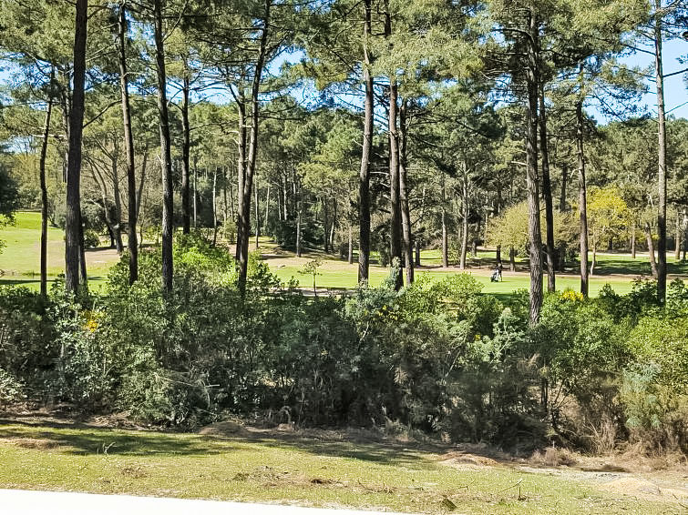 Photo of Eden Parc