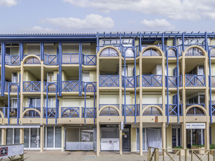 Photo of Les Hélianthes