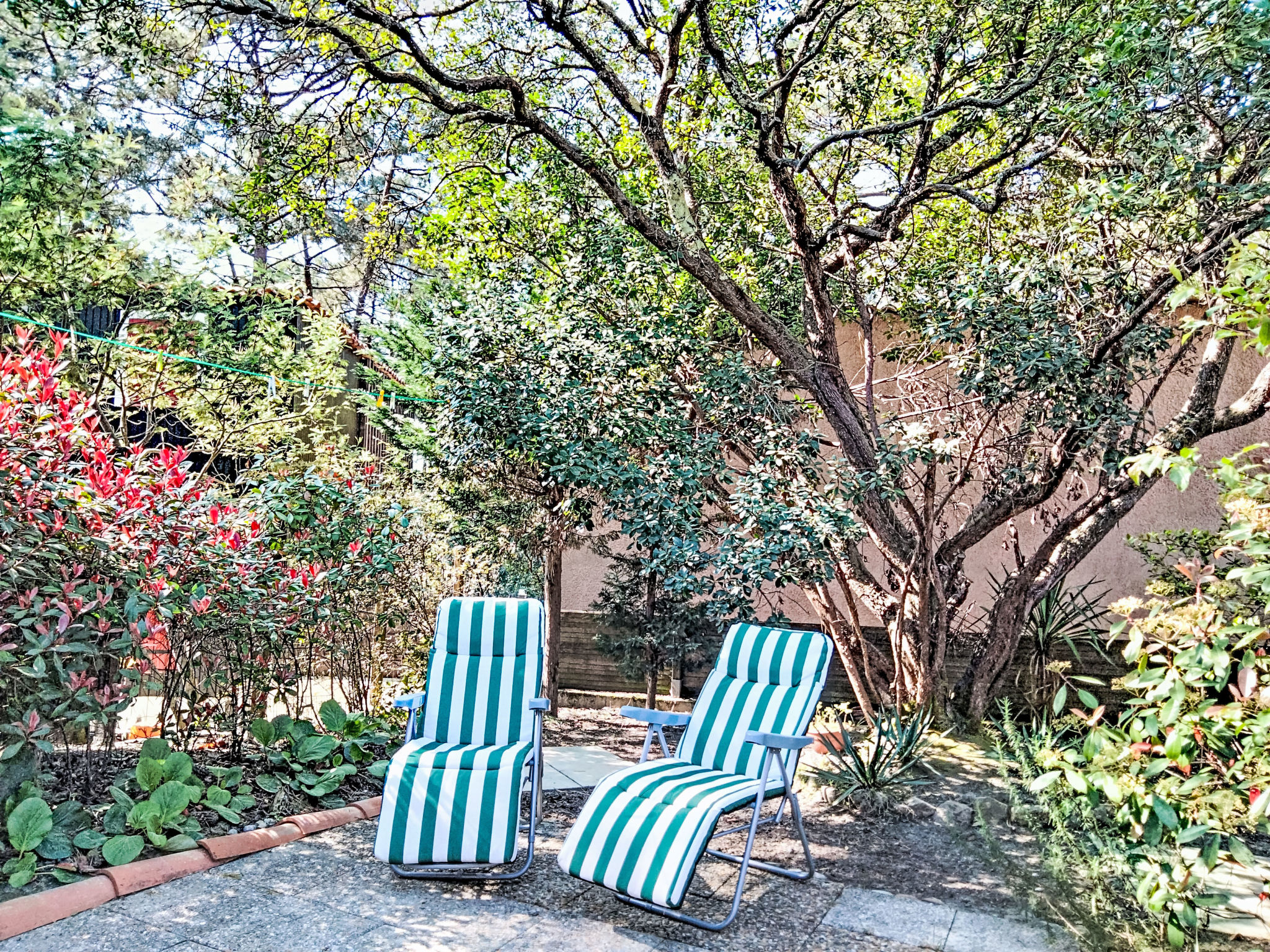 Photo of Les Palombes