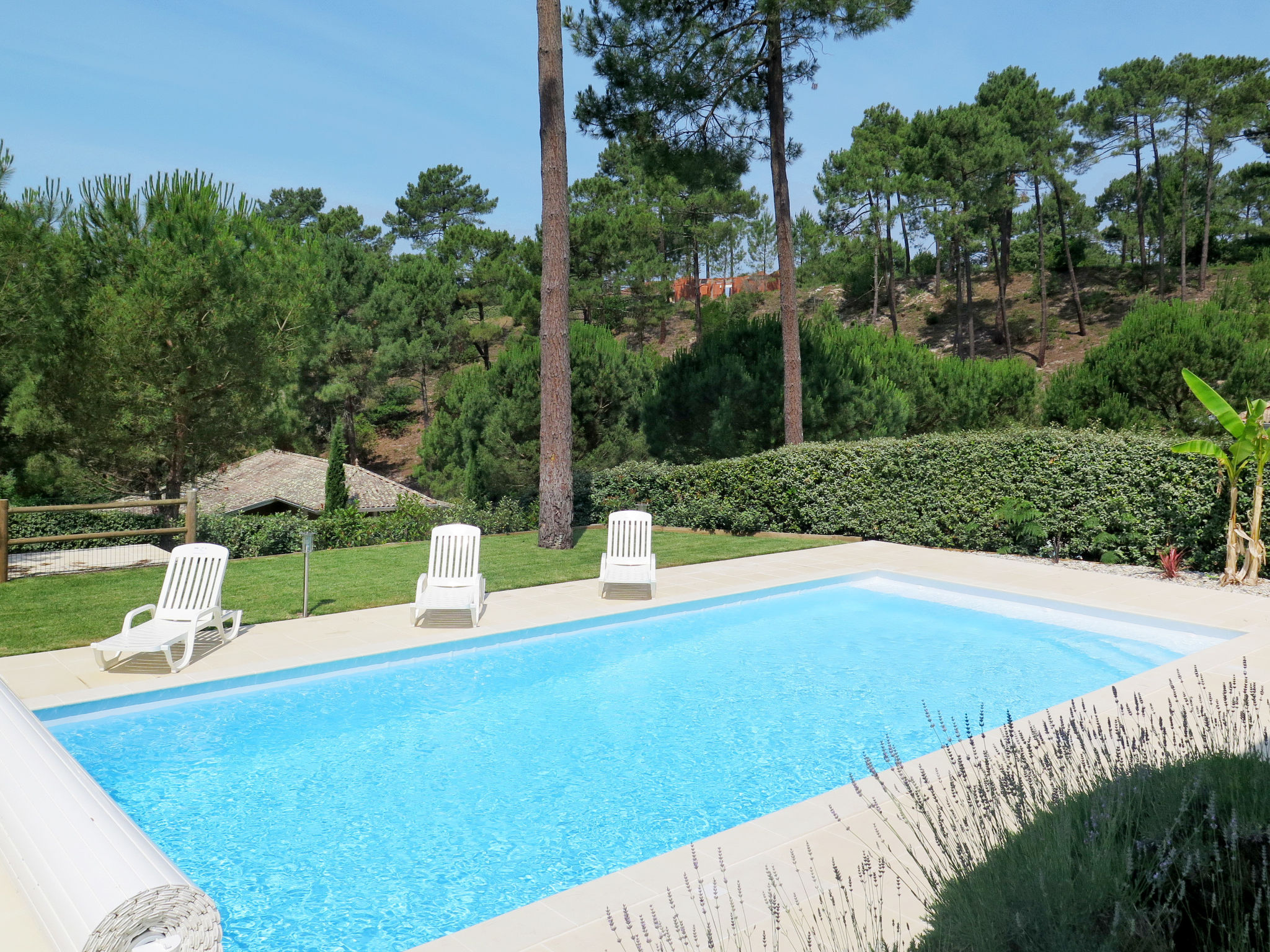 Photo of Atlantic Green V6I