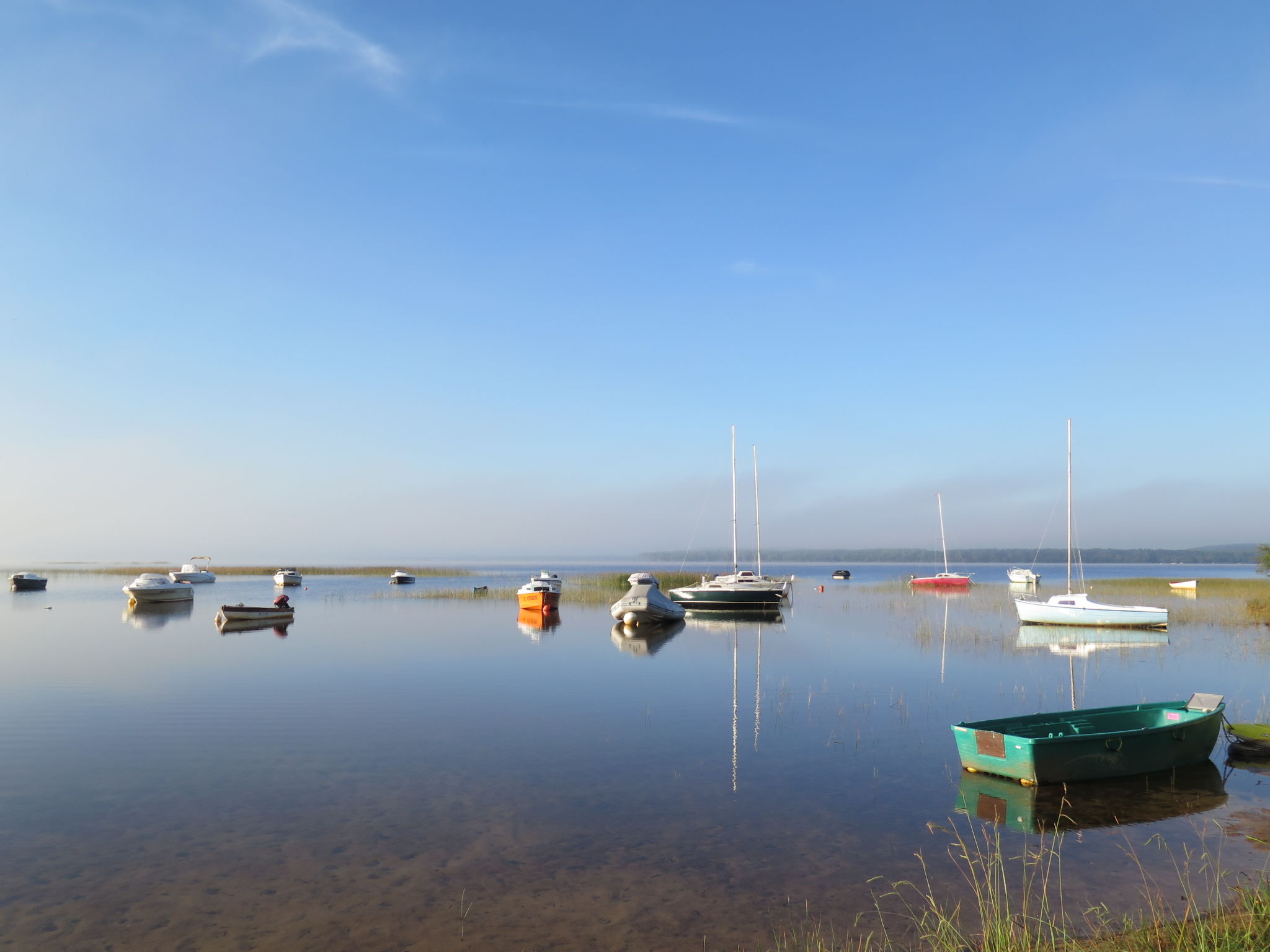 Photo of Petite Ramaline