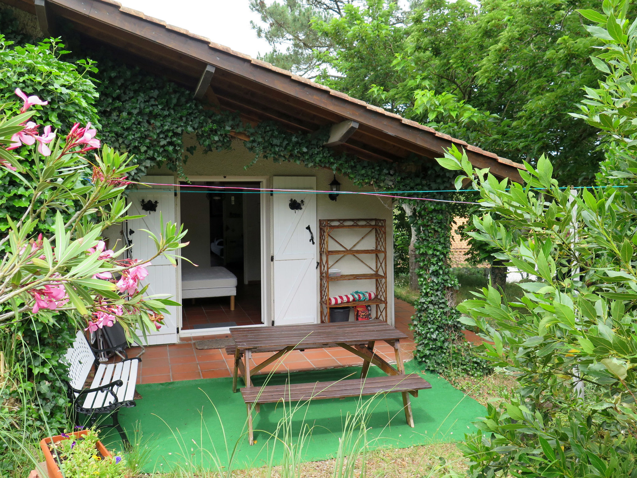 Photo of Petite Ramaline