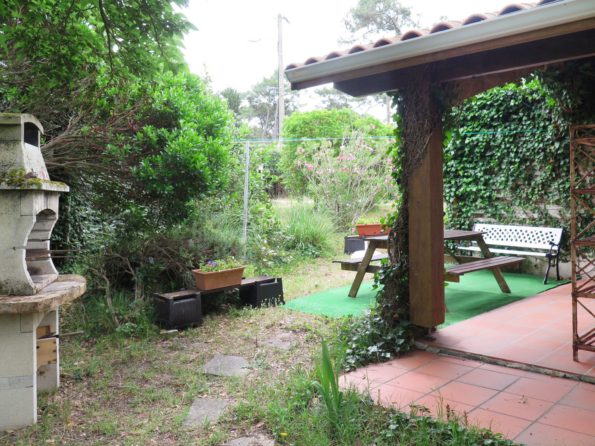 Photo of Petite Ramaline