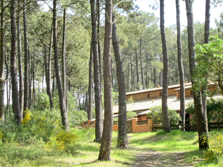 Casa de Vacaciones Sous les Pins (LCA145)