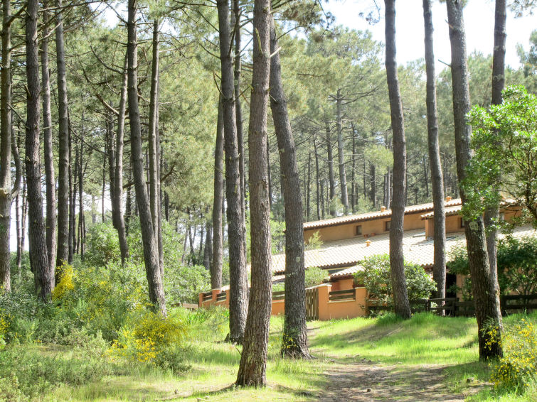 Photo of Les maisons de la forêt