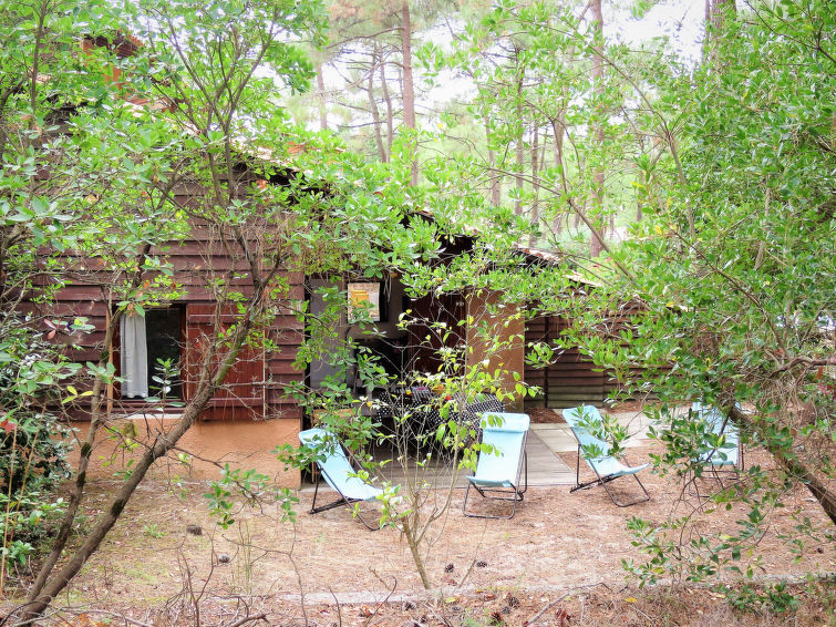 Photo of Les maisons de la forêt