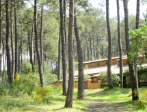Ferienhaus Les maisons de la forêt