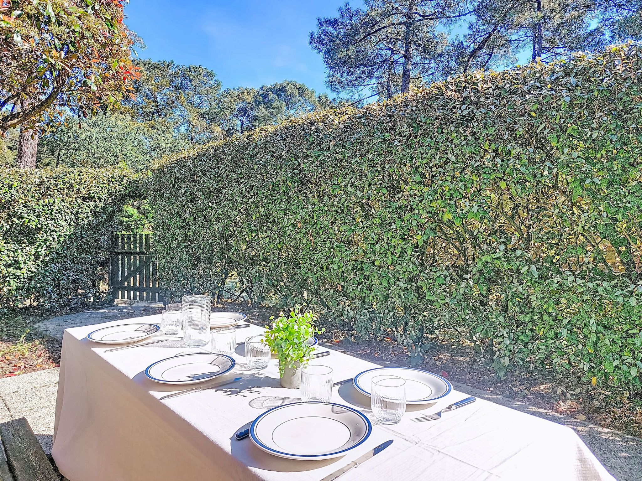 Photo of Les Jardins de Lacanau