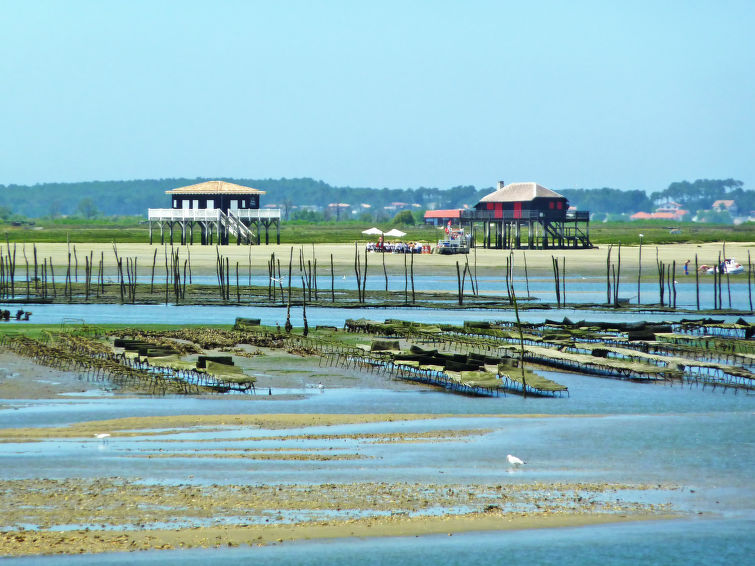 Villa Albertine Accommodation in Arcachon