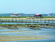 Mieszkanie Port Arcachon