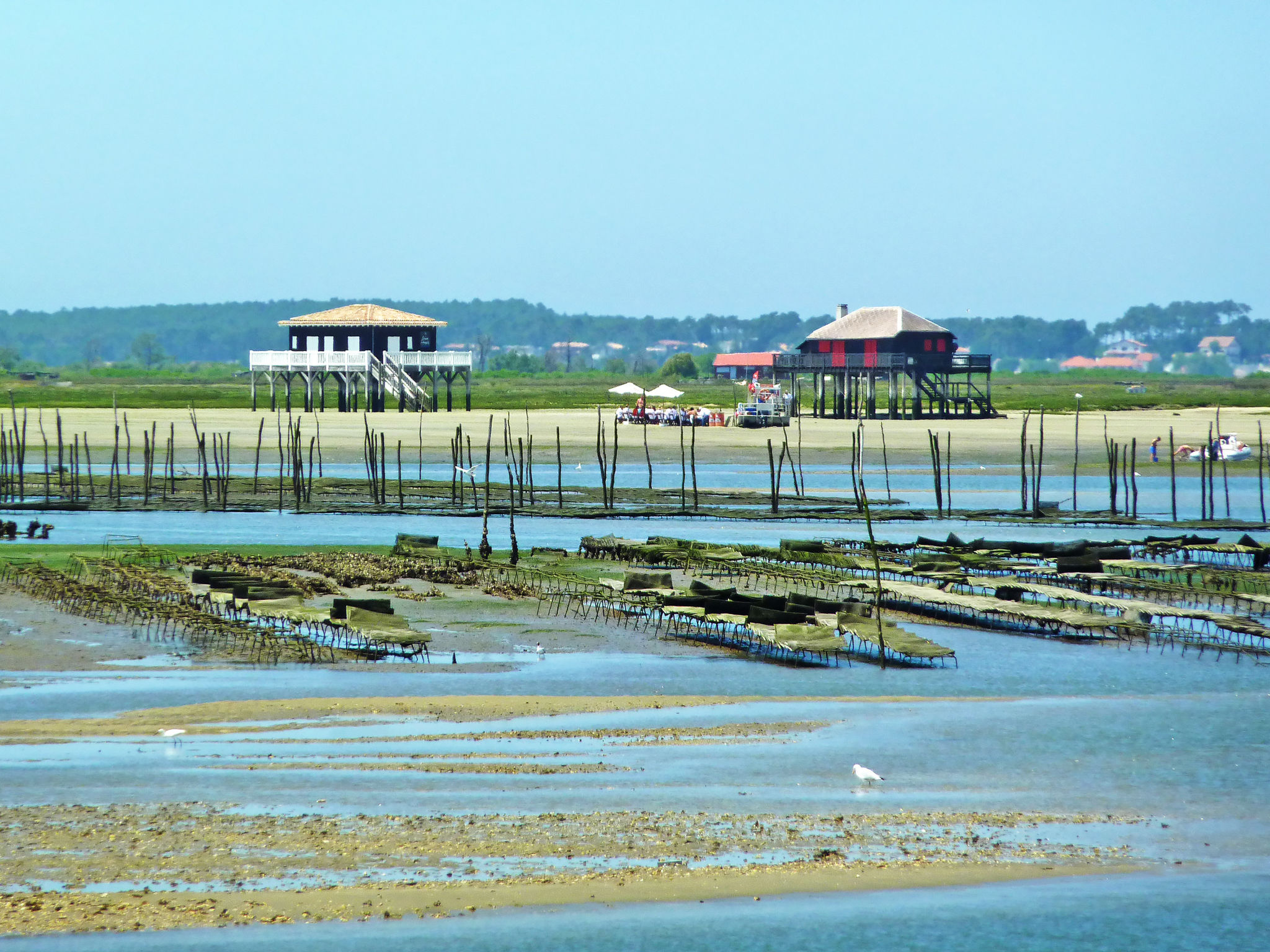 Le Trianon-Area