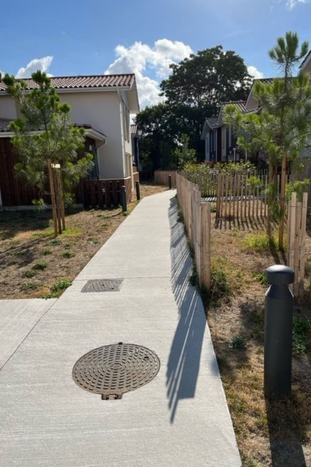 "Seepferdchen des Beckens"-Binnen