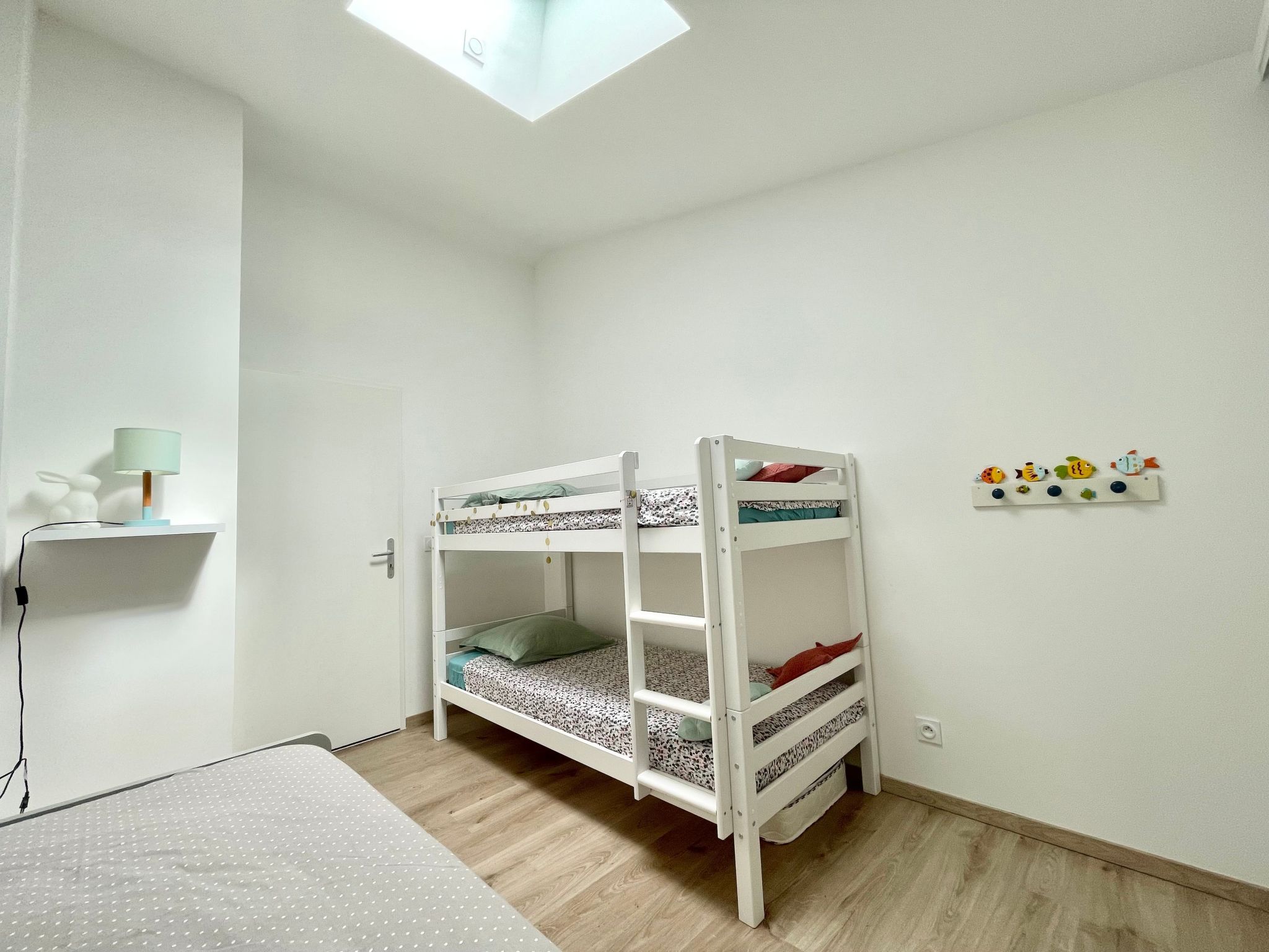 "Seepferdchen des Beckens"-Binnen