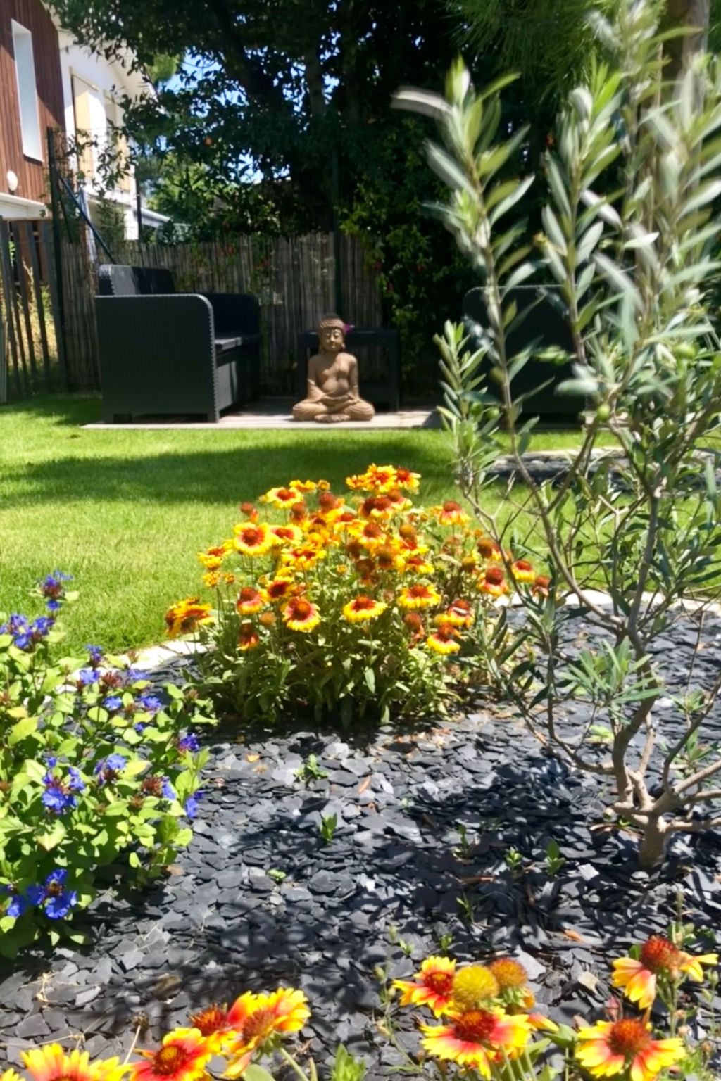 "Seepferdchen des Beckens"-Binnen