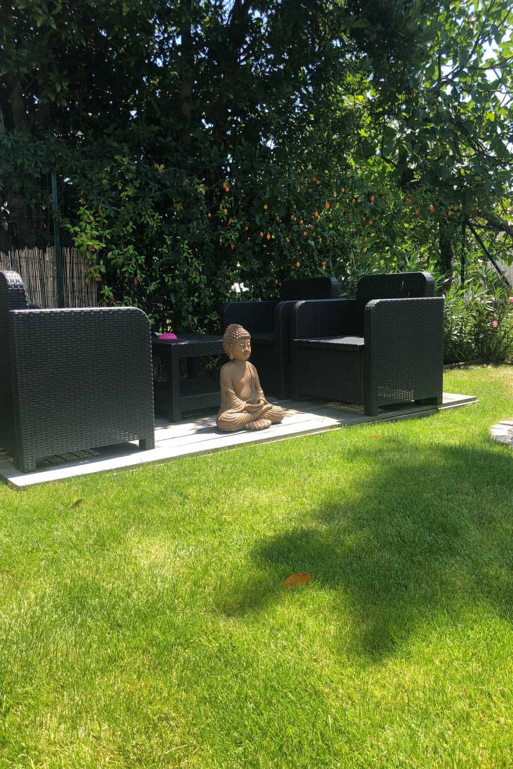 "Seepferdchen des Beckens"-Binnen