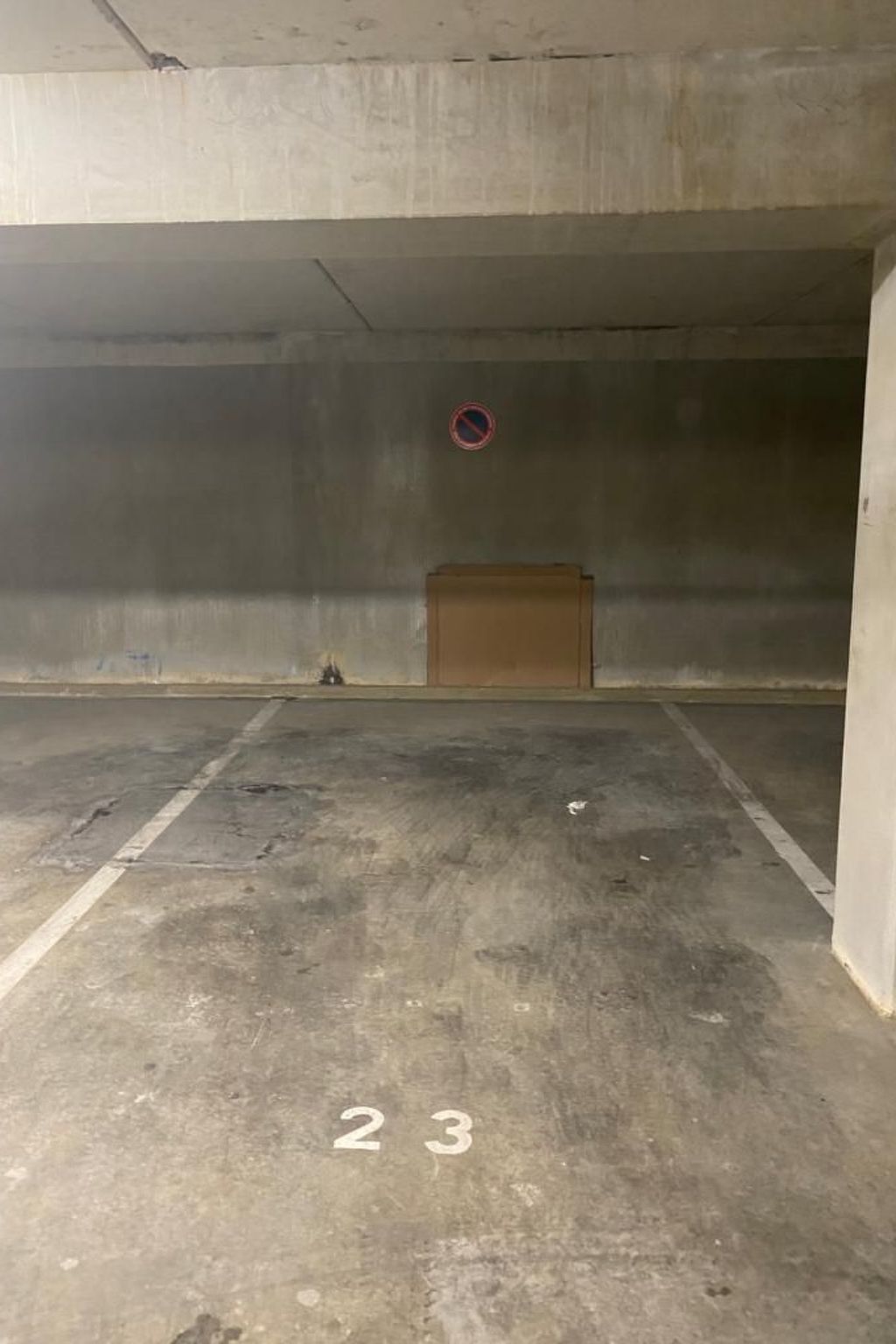 "Seepferdchen des Beckens"-Binnen