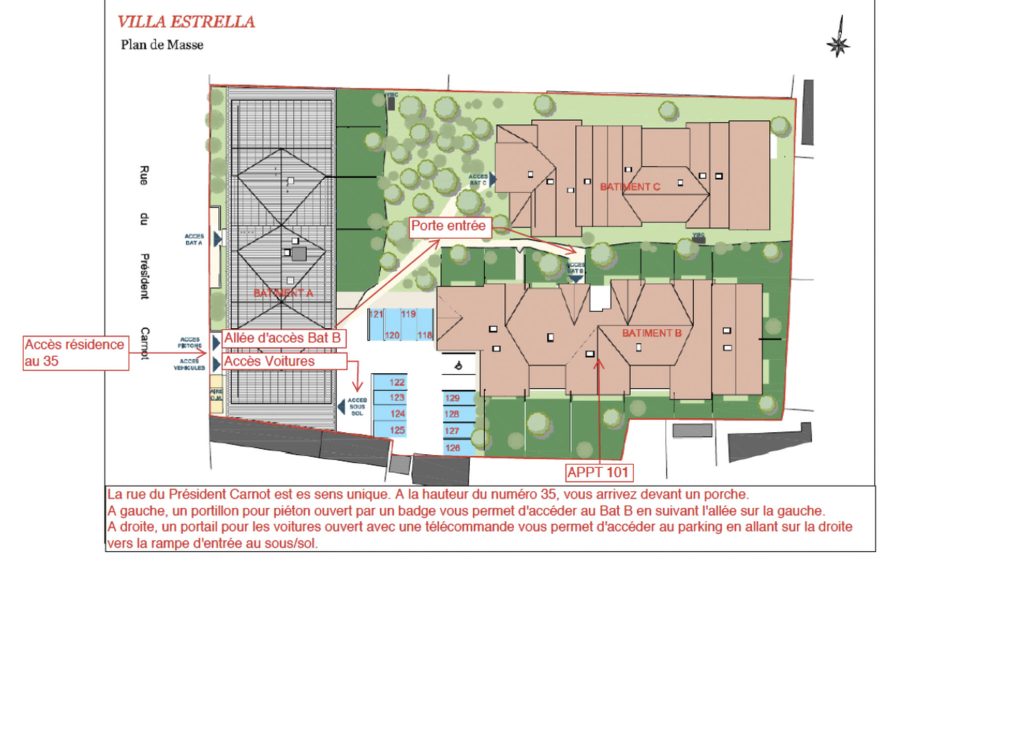 Photo of "Seepferdchen des Beckens"