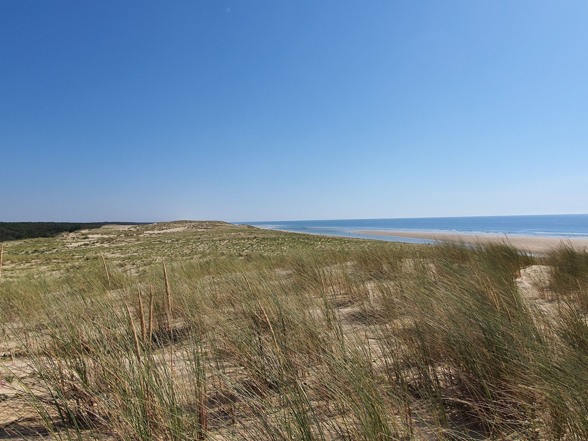 Villa contis plage 900m vom Ozean entfernt - 3 Schlafzimmer-Dehors