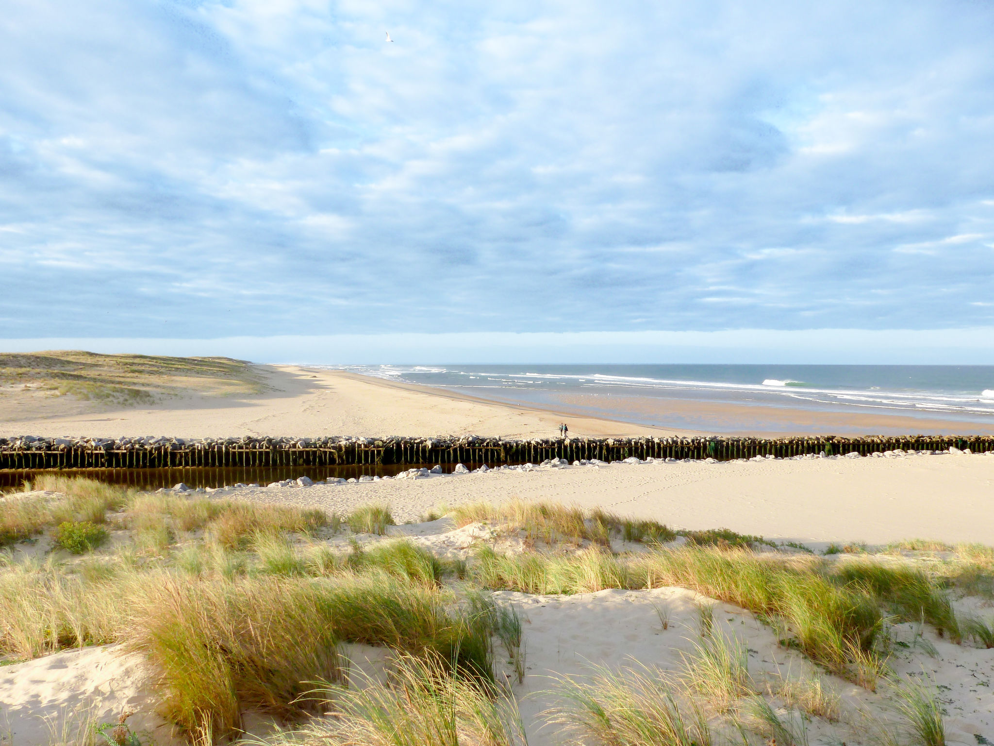 Großes Ferienhaus in Mézos mit Großer Terrasse-Omgeving