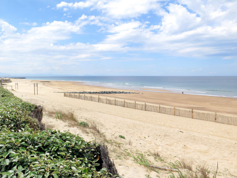 Résidence Plage Centrale (HOS204)