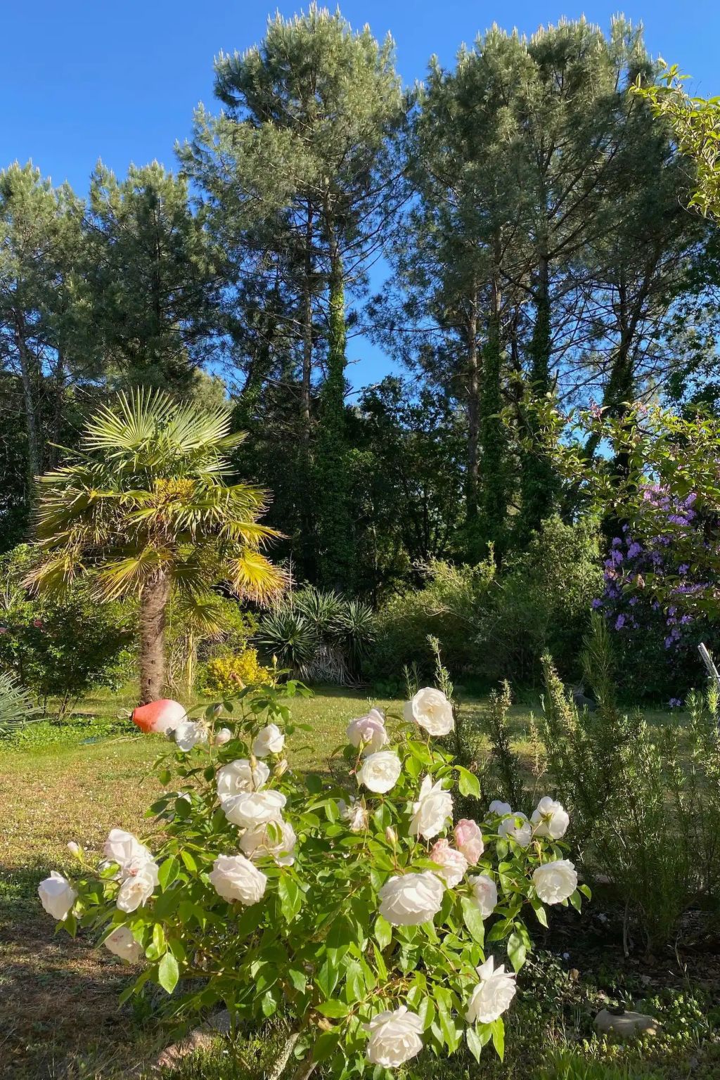 Villa "La Belle Vie"-Image-tags.info