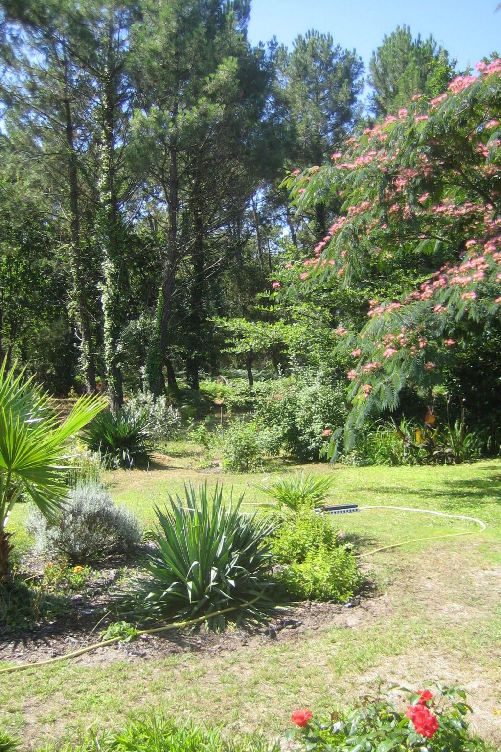 Villa "La Belle Vie"-Image-tags.info