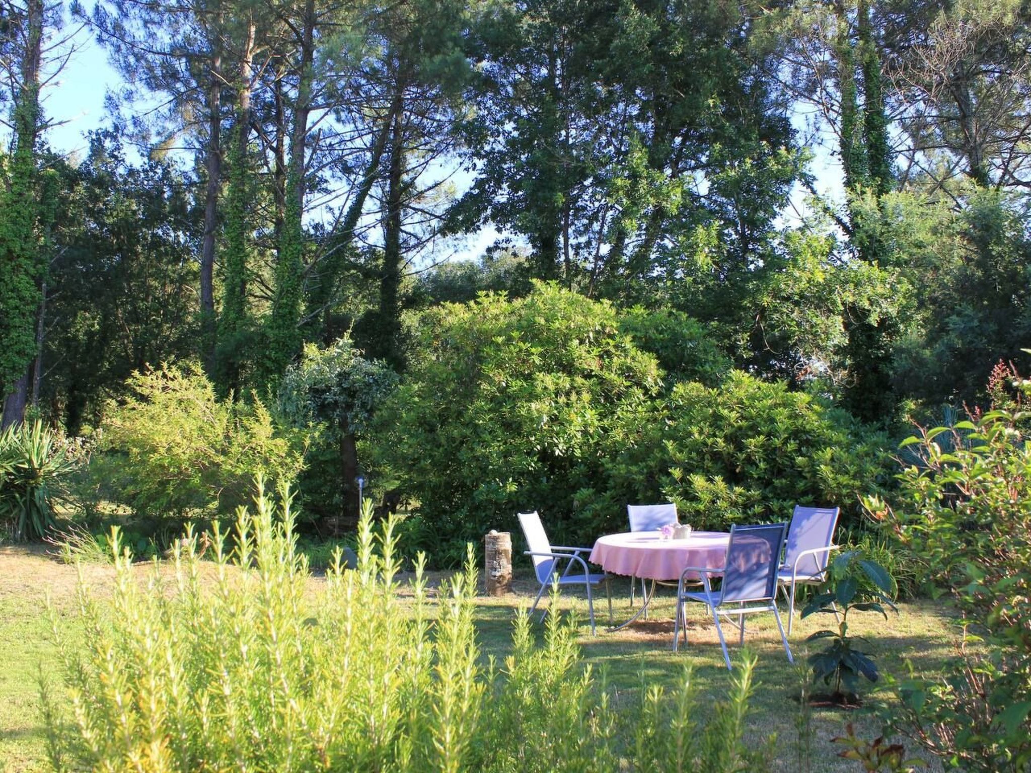 Villa "La Belle Vie"-Dehors