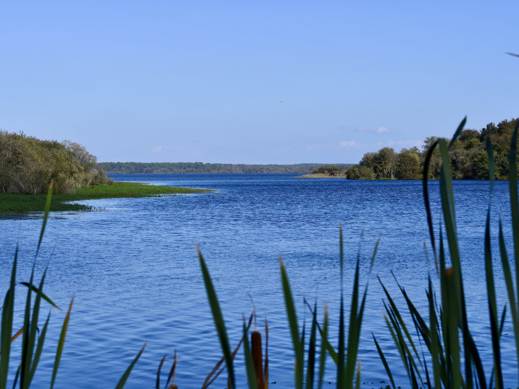 Domaine du belvédère-Area