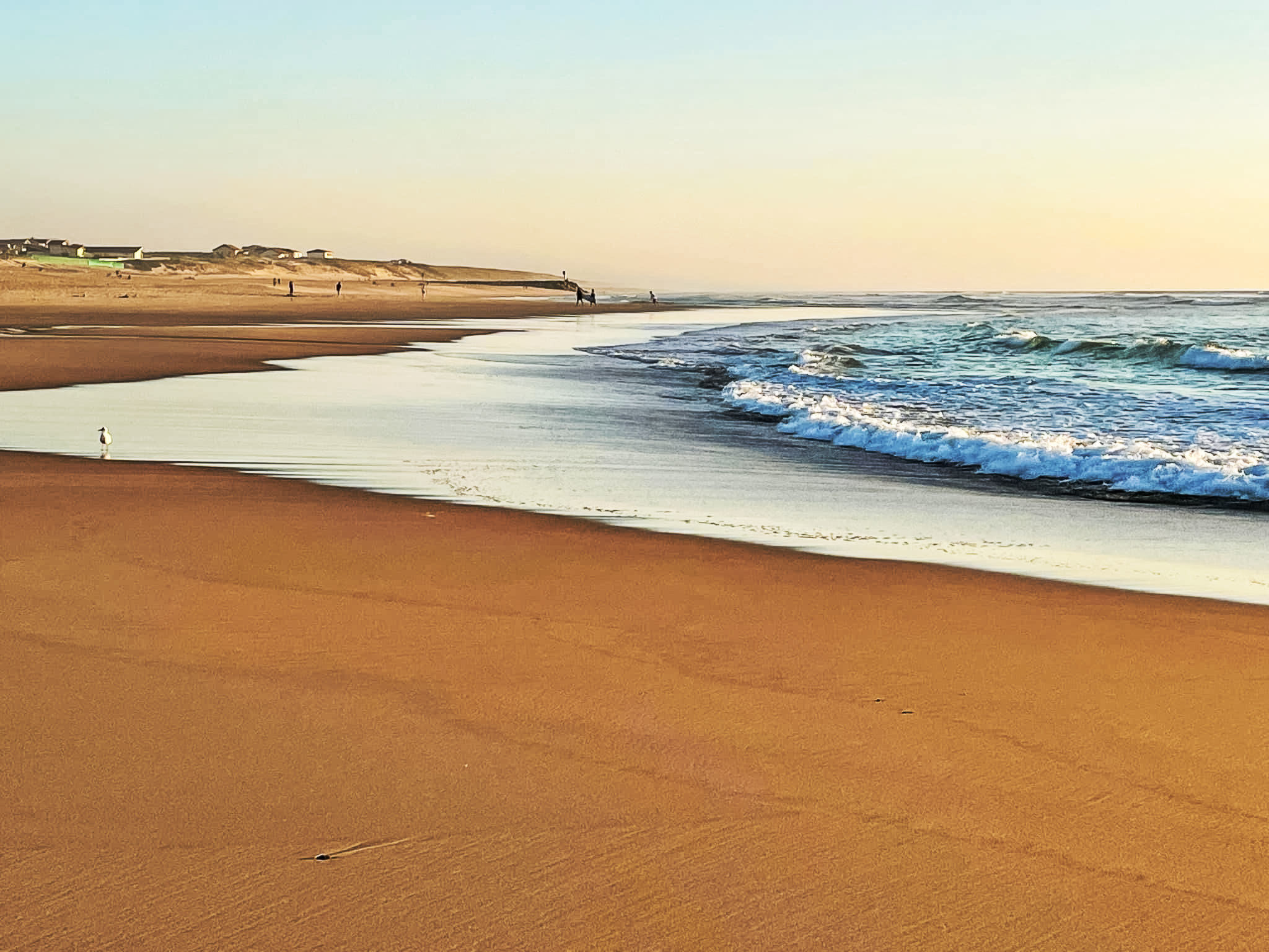 Chasseur-Environnement