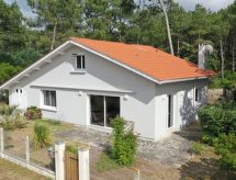 Renoviertes Haus am Rande des Landes-Waldes