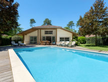 Clairière aux Chevreuils (MLP533)