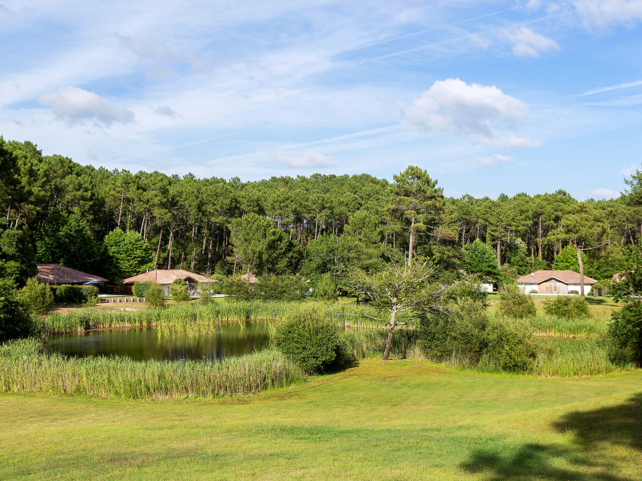 Clairière aux Chevreuils - Buiten