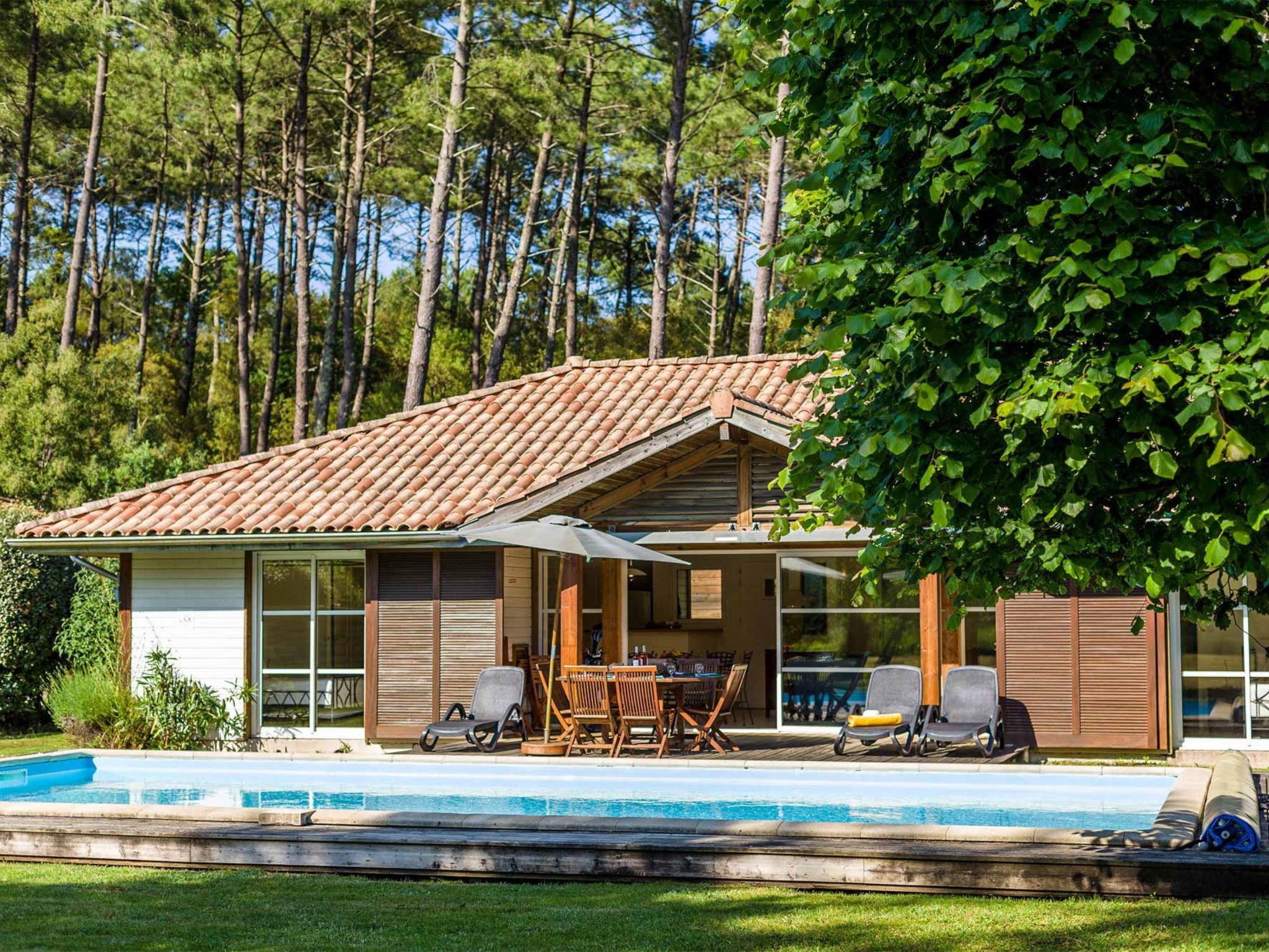 Clairière aux Chevreuils