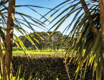 Apartamento Mer et Golf