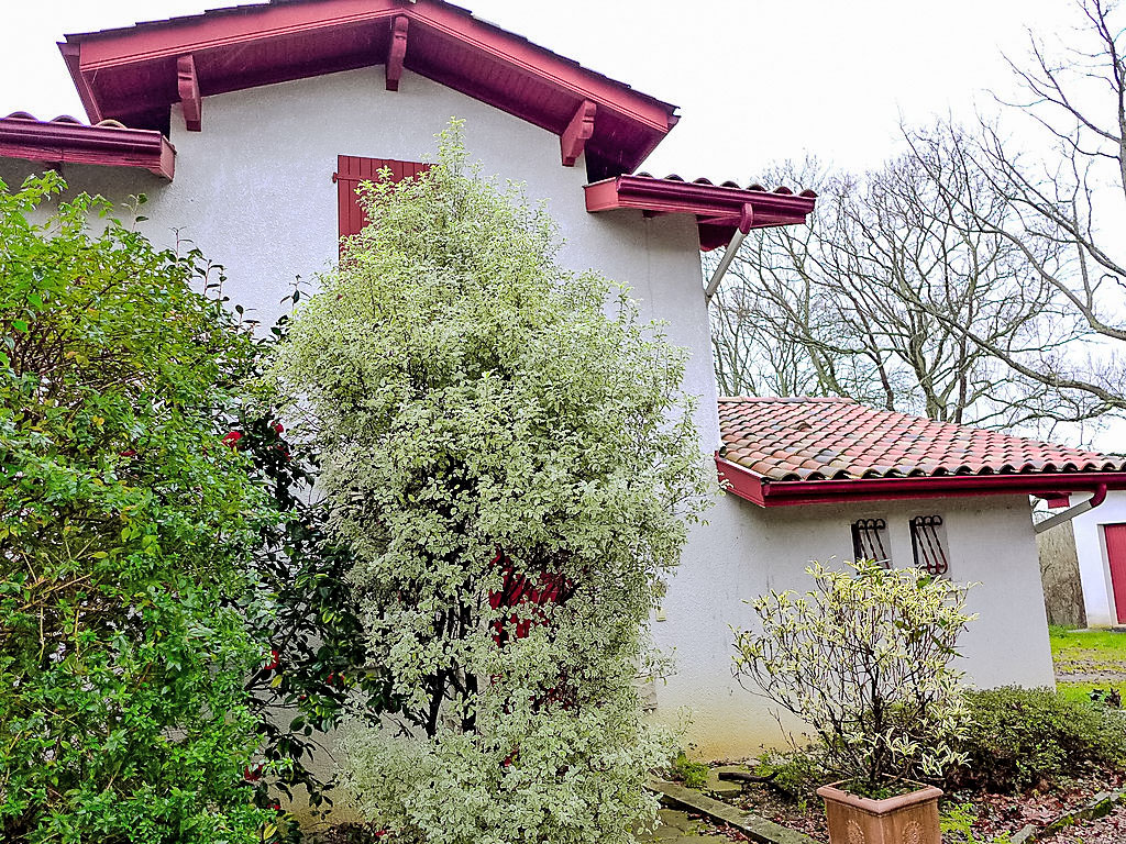 Bild 22