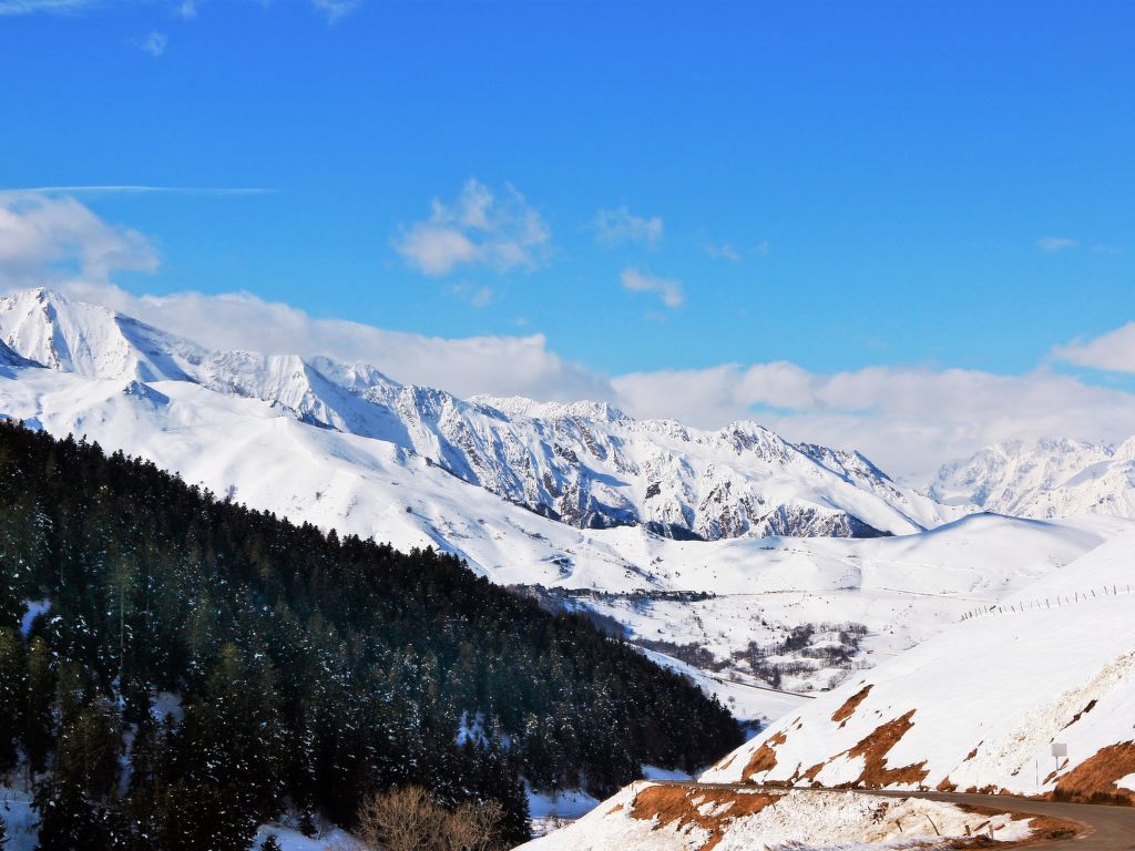 Bild 14
