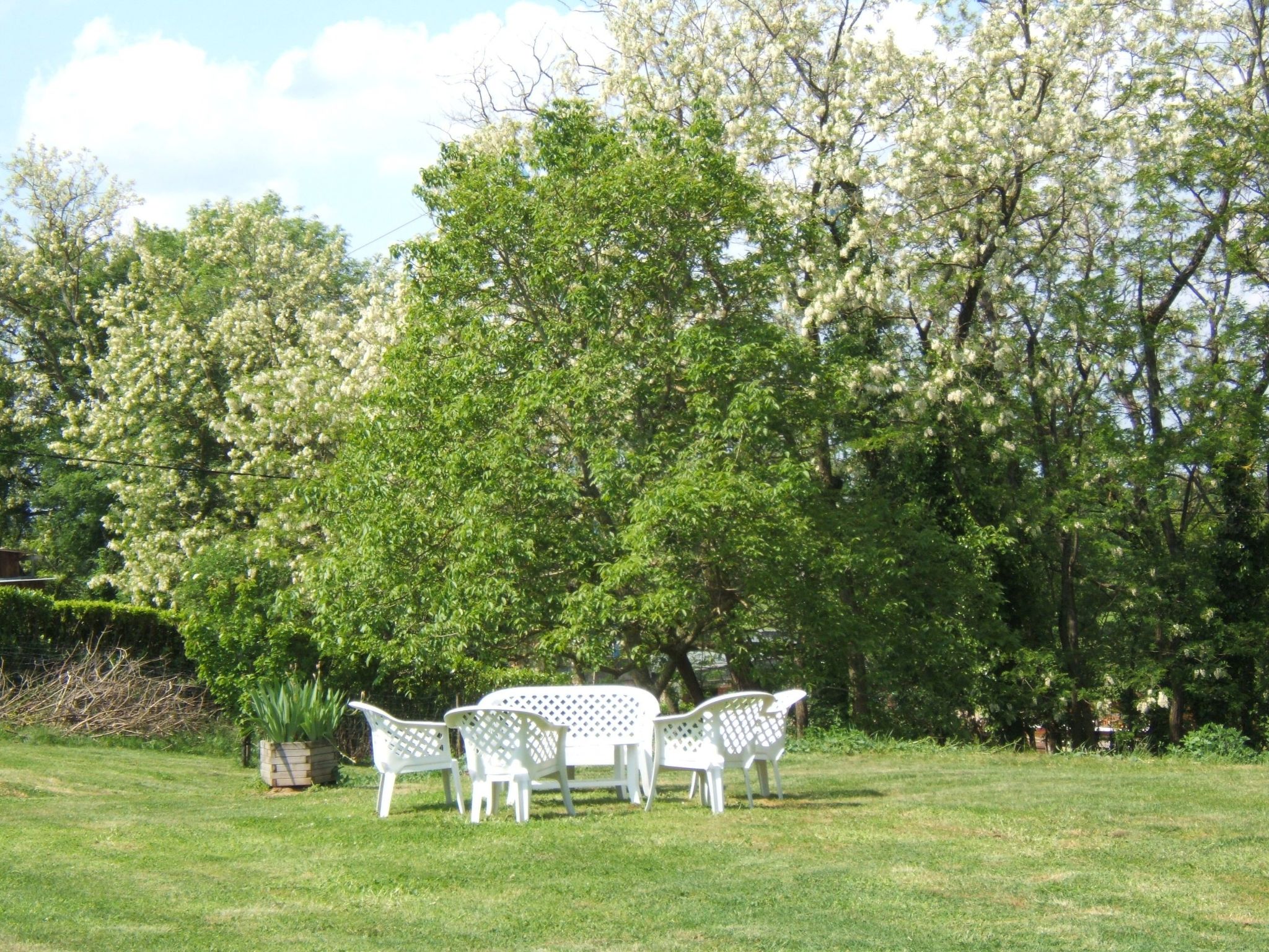 Doppelzimmer - Gartenblick - Buiten