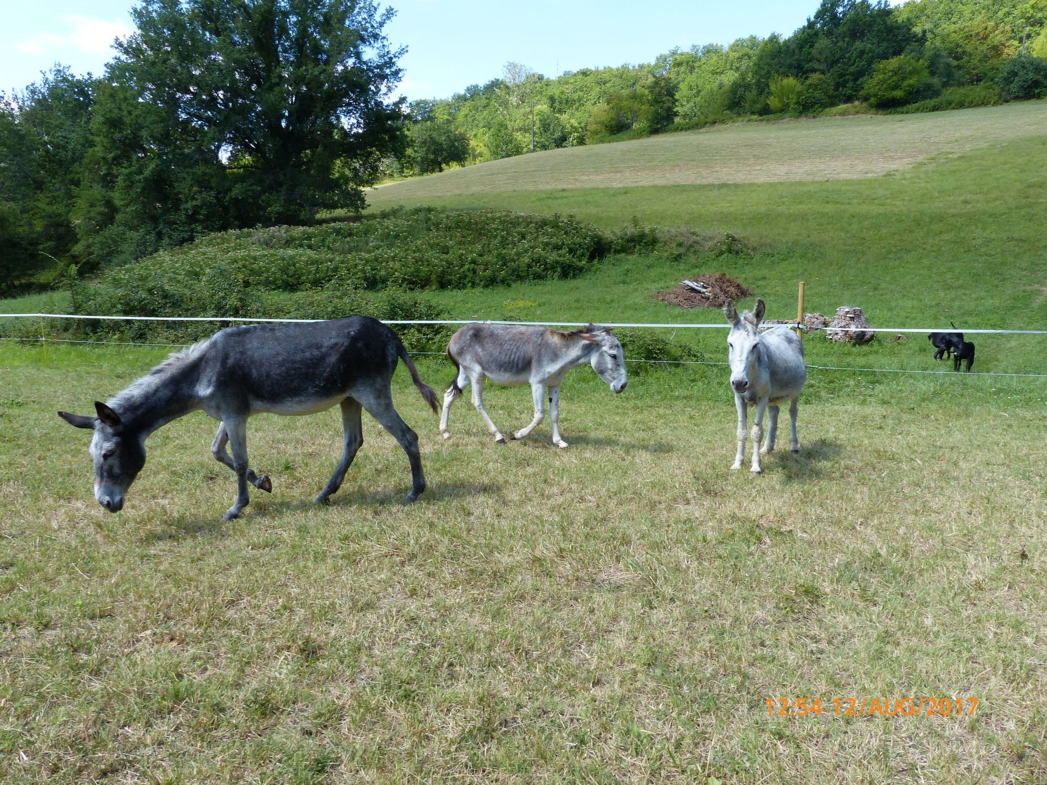 La Ferme des Paons-Binnen
