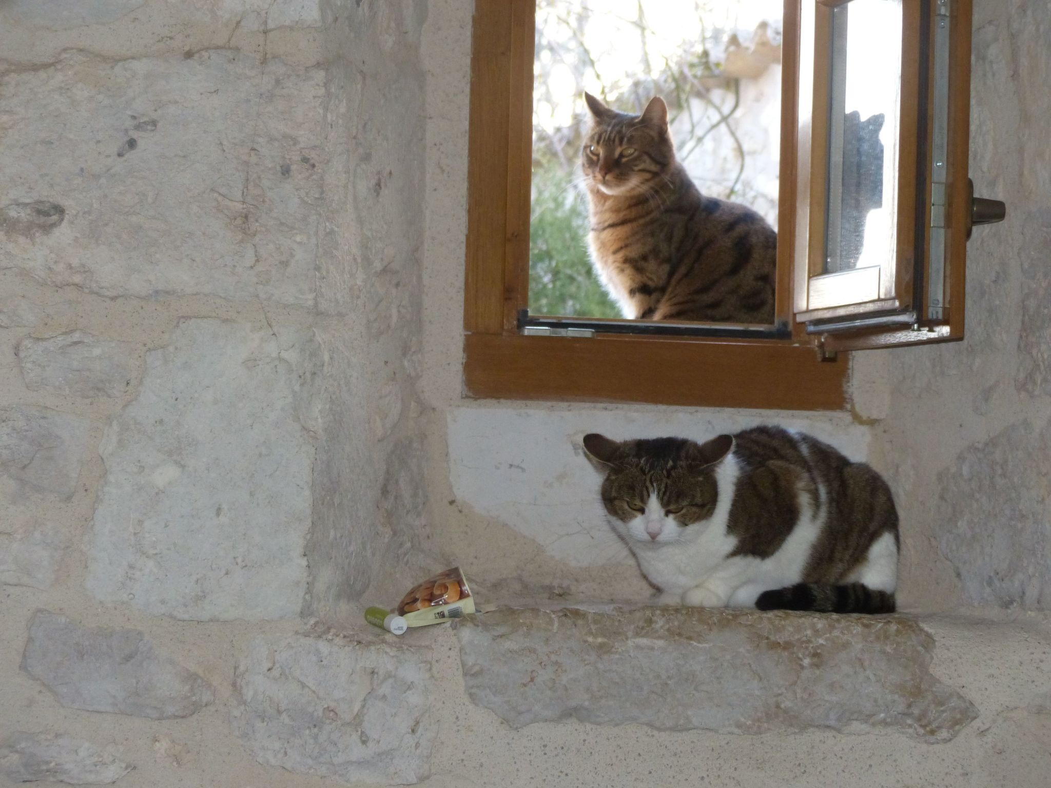 La Ferme des Paons-Binnen