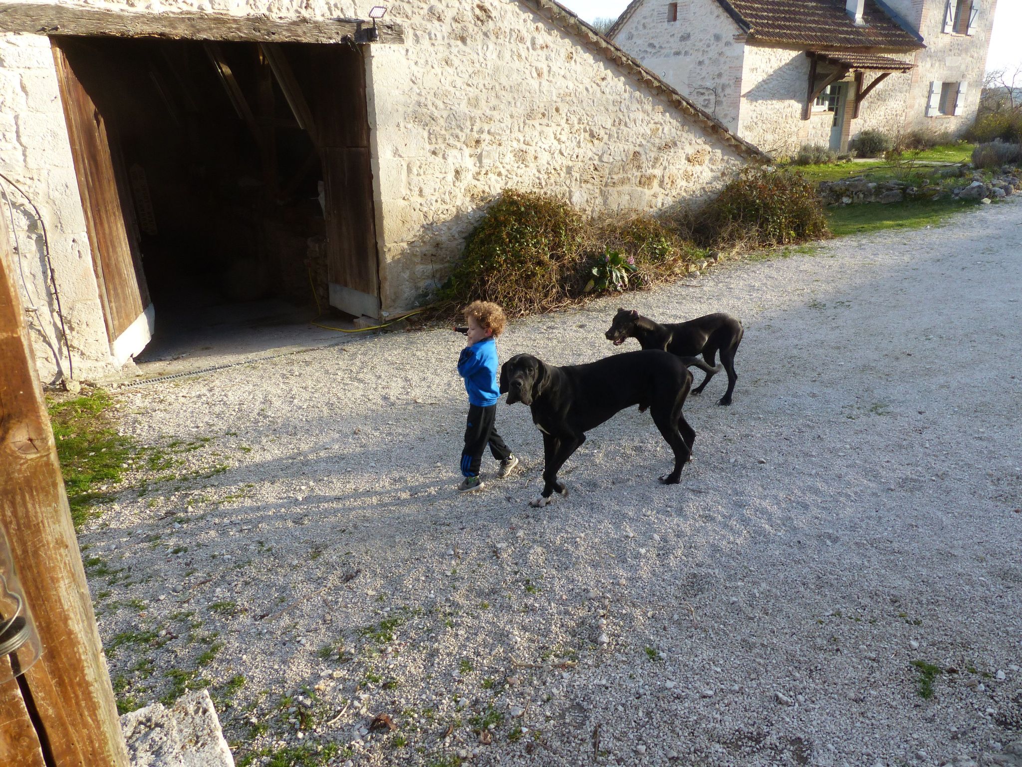 La Ferme des Paons-Binnen