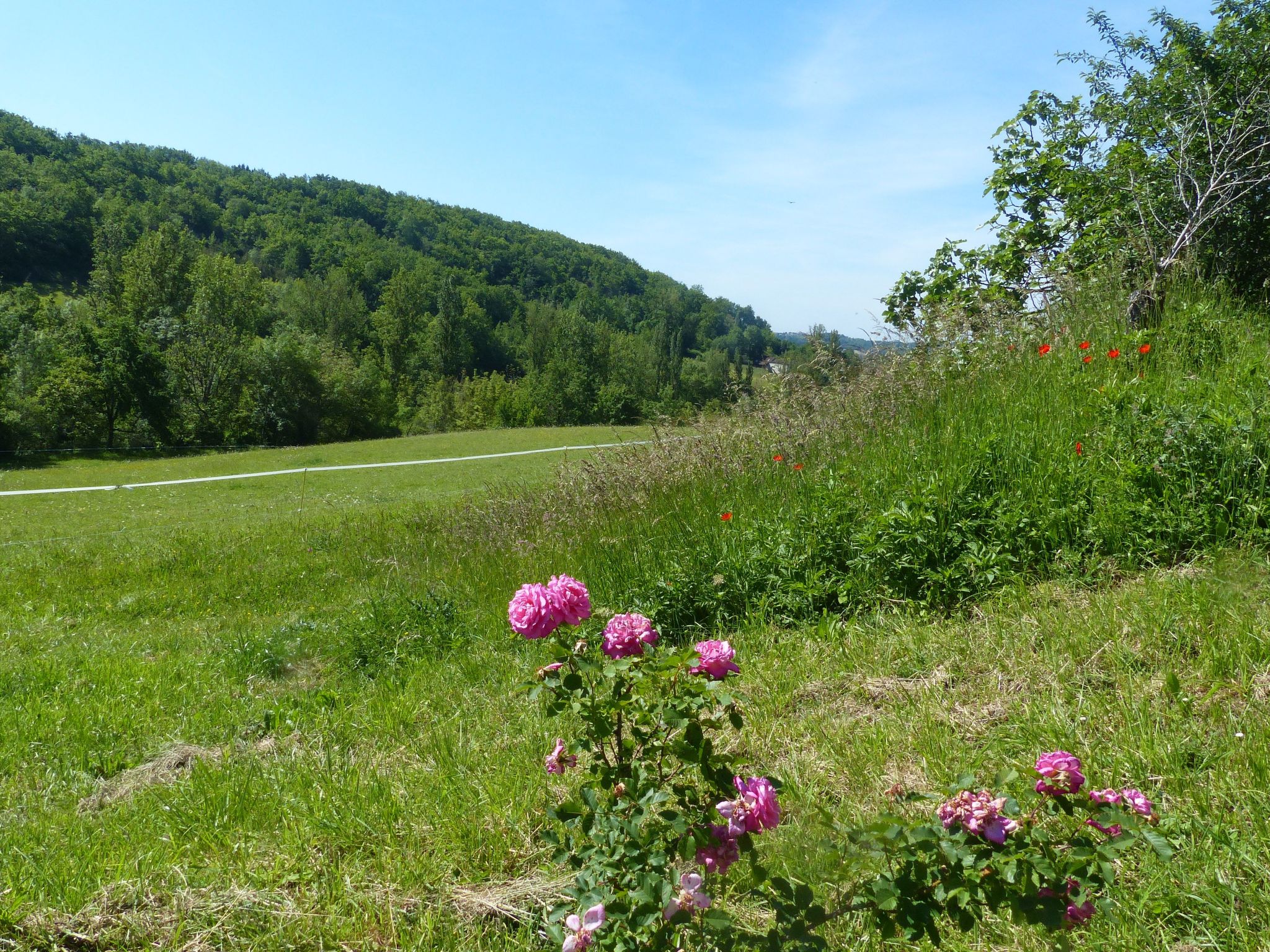La Ferme des Paons-Binnen