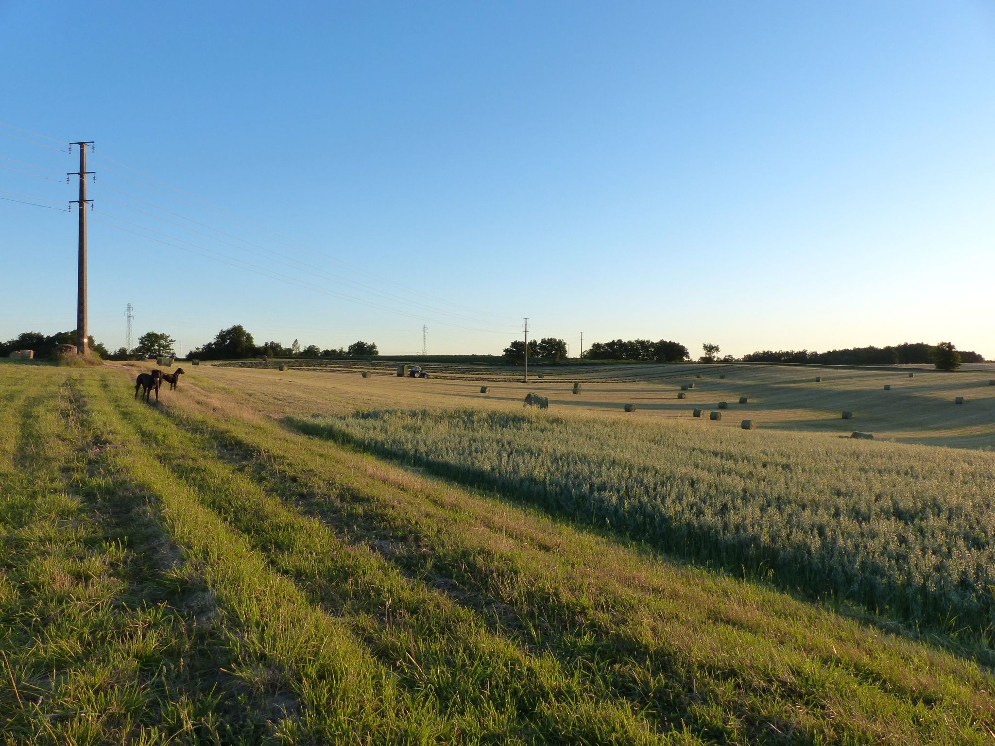 La Ferme des Paons-Binnen