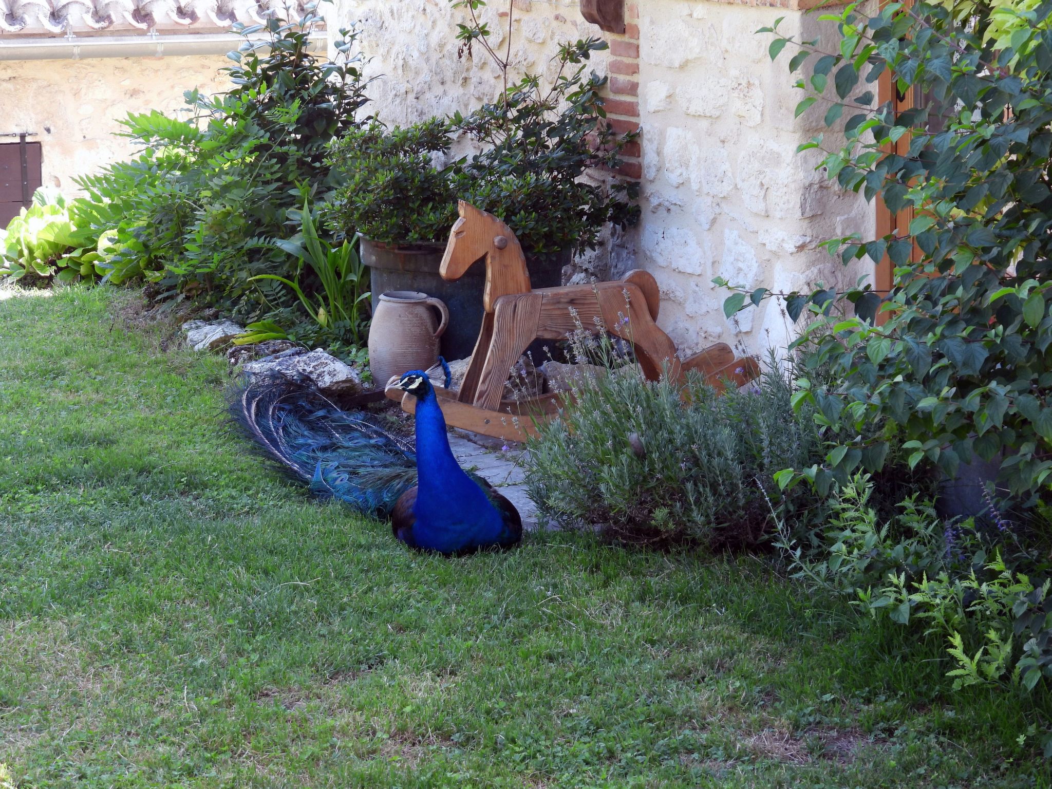 La Ferme des Paons-Binnen