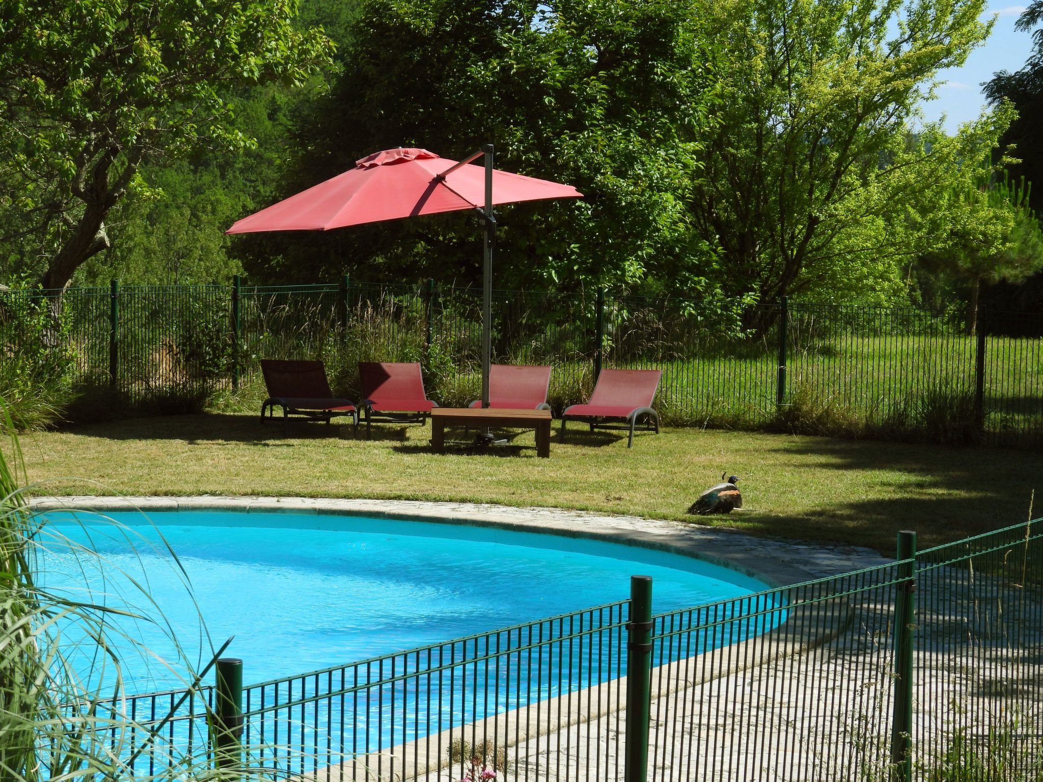 La Ferme des Paons-Binnen