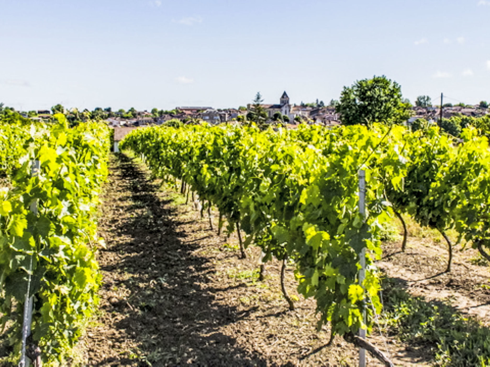 SOWELL Family Les Landes Gascogne - Drinnen