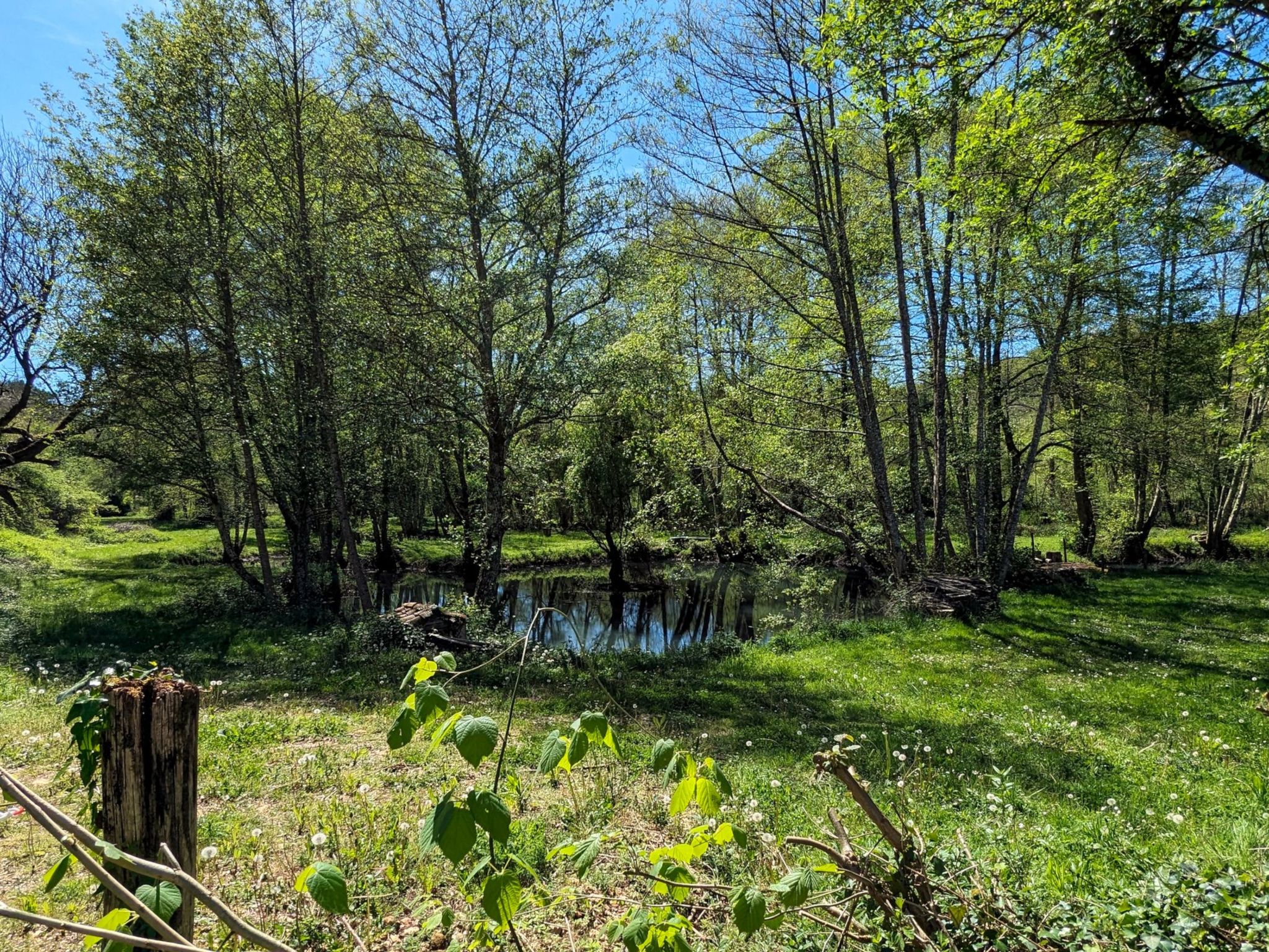 Studio "Vert d'Eau" mit Blick auf das Wasser-Binnen