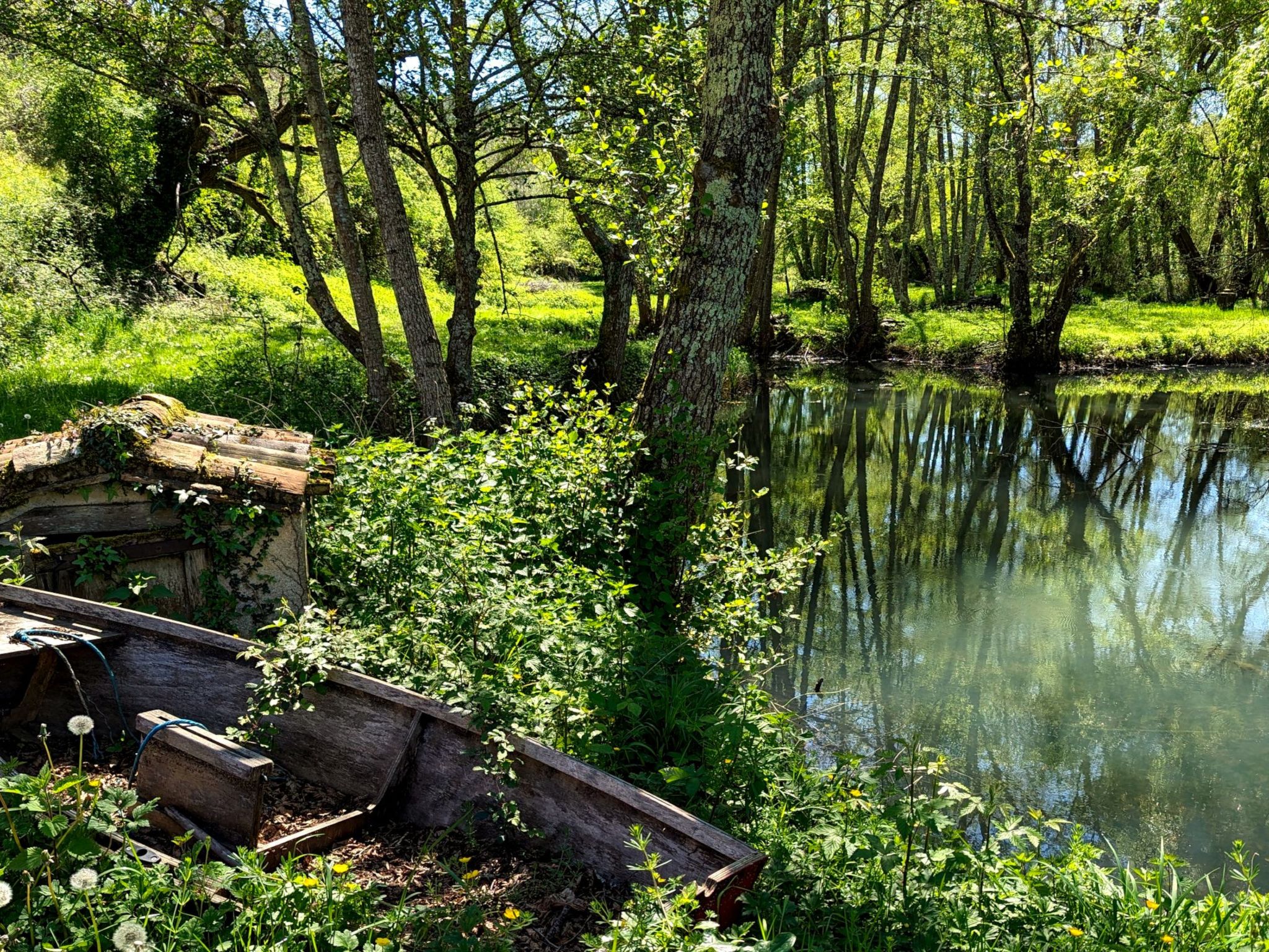 Im Herzen des Périgord Noir in der Nähe von Limeuil-Binnen