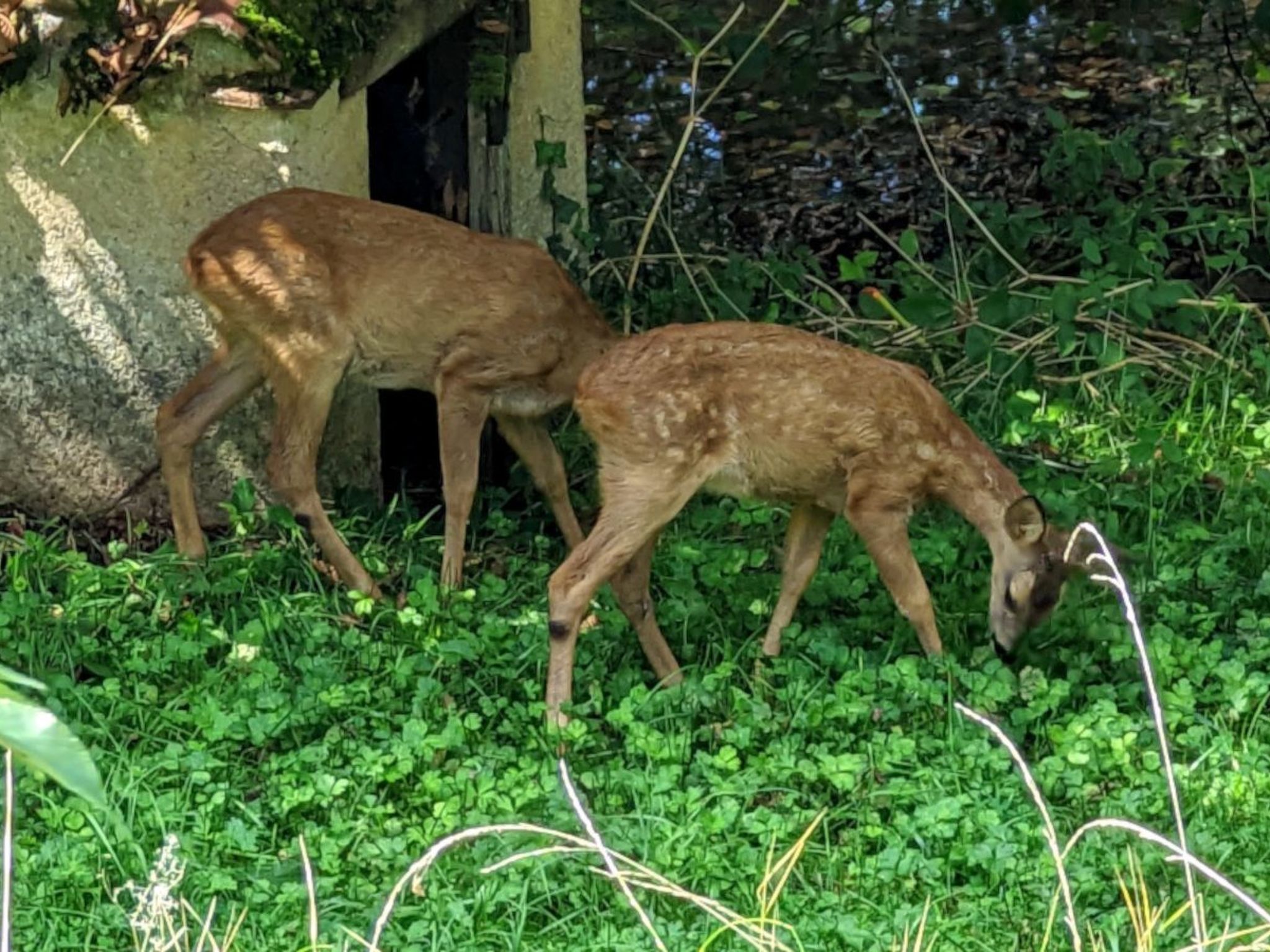 Im Herzen des Périgord Noir in der Nähe von Limeuil-Binnen