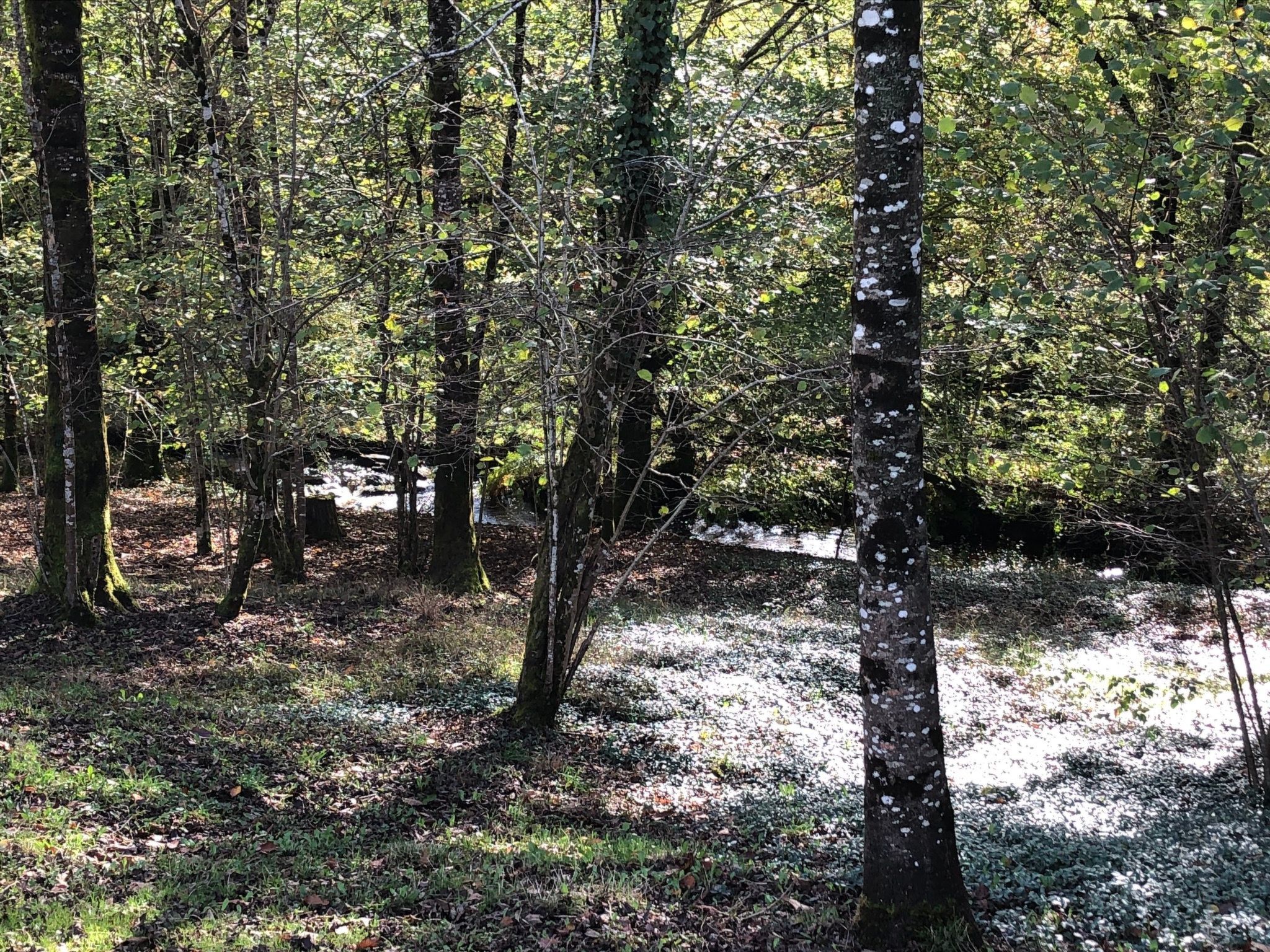 Direkt am Strand-Outside