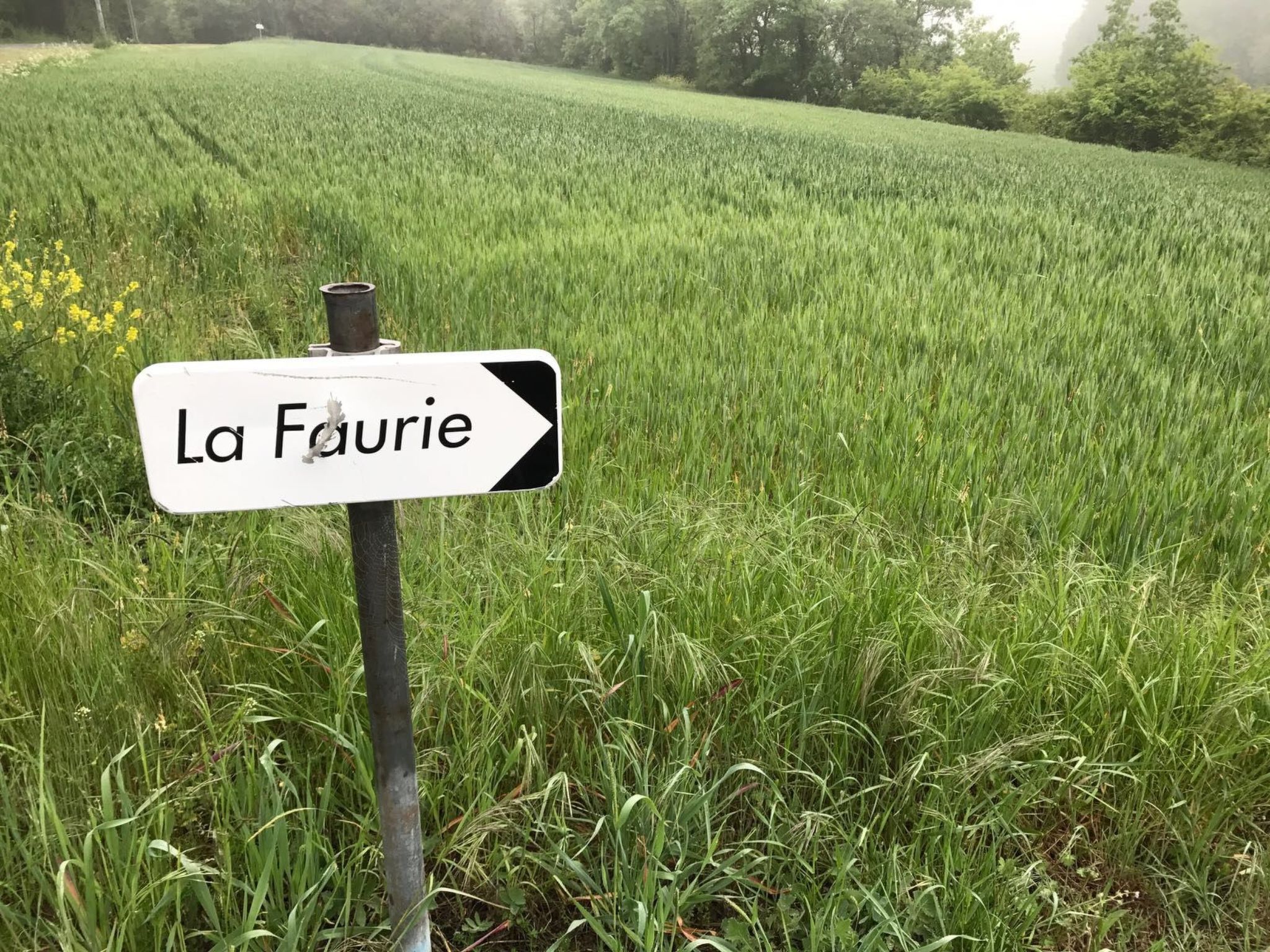 Swimmingpool, Garten, Aussicht, Stille, Kinder, Spielzeug